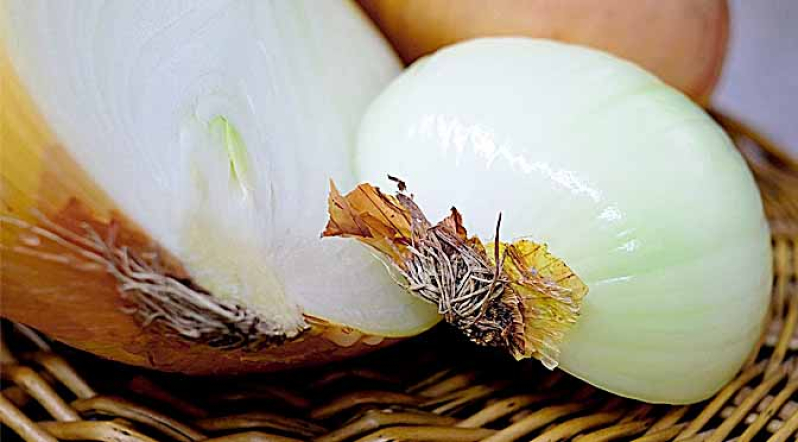 La cebolla, ¿Que sabes de ella?.