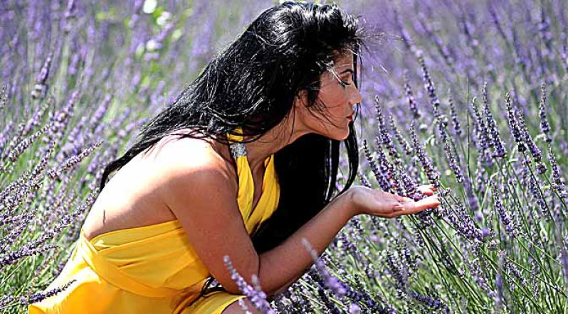 La Lavanda, como uso medicinal.