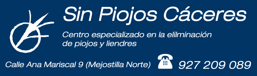 Solución a los piojos en Cáceres