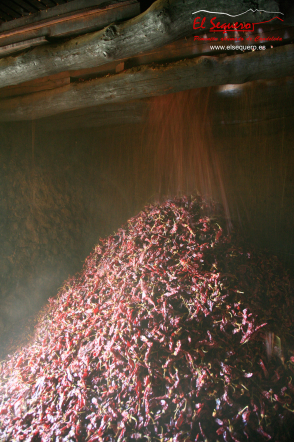 Pisado del pimiento del Pimentón artesanal ahumado El Sequero