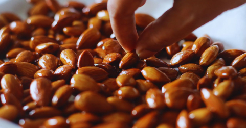Frutos secos en una dieta saludable y equilibrada 